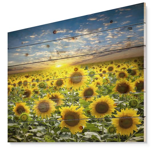 Designart - Field of Blooming Sunflowers